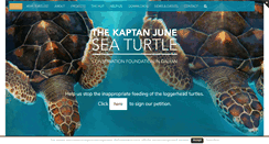 Desktop Screenshot of dalyanturtles.com